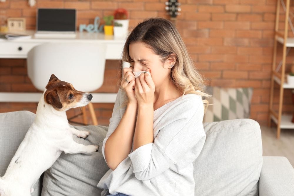 Exame IgE específico para descamação e o diagnóstico de alergias a animais