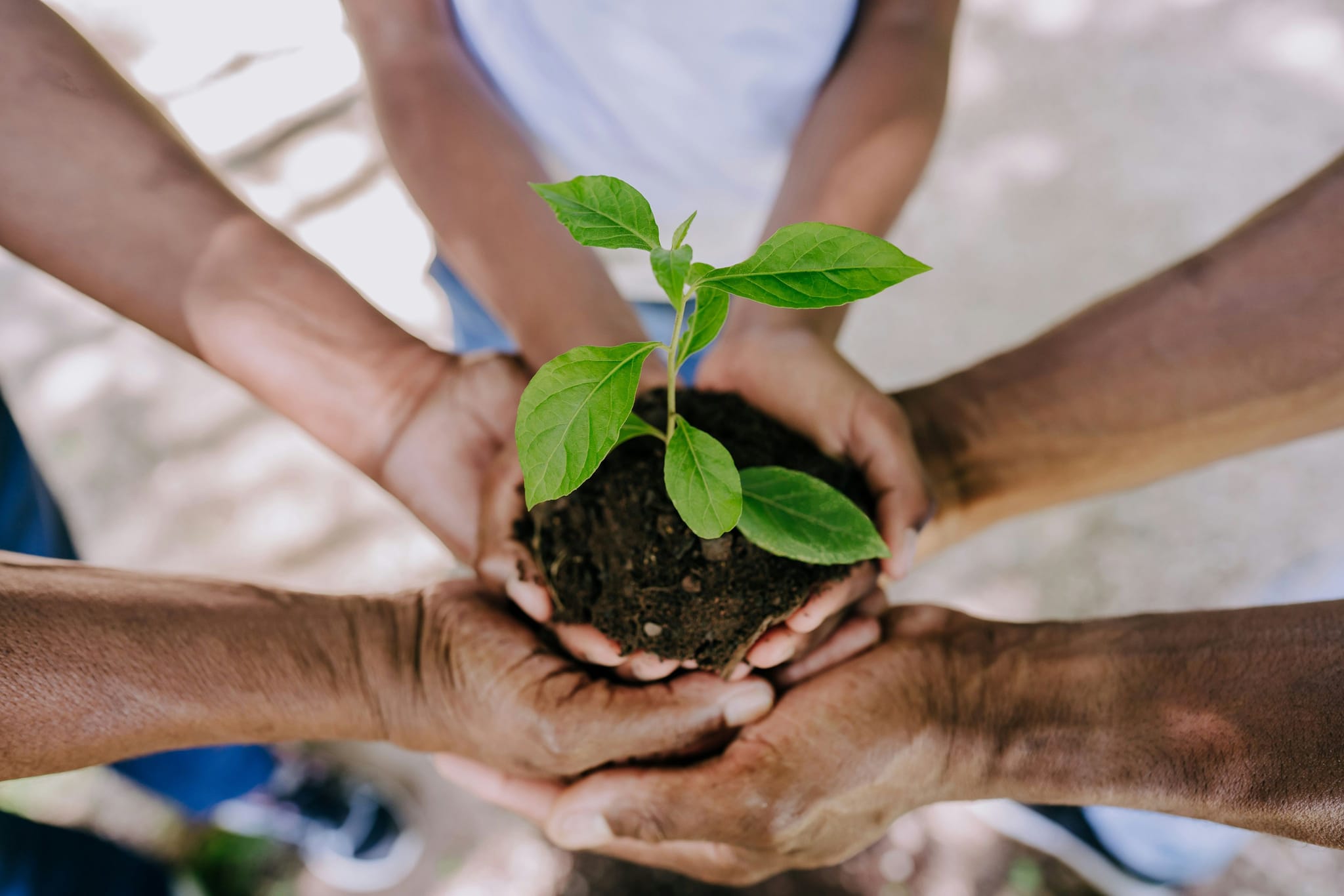 Sustentabilidade